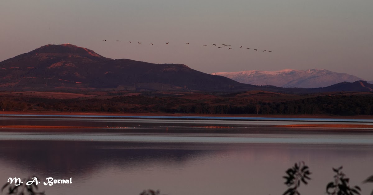 Pantano del Borbollón