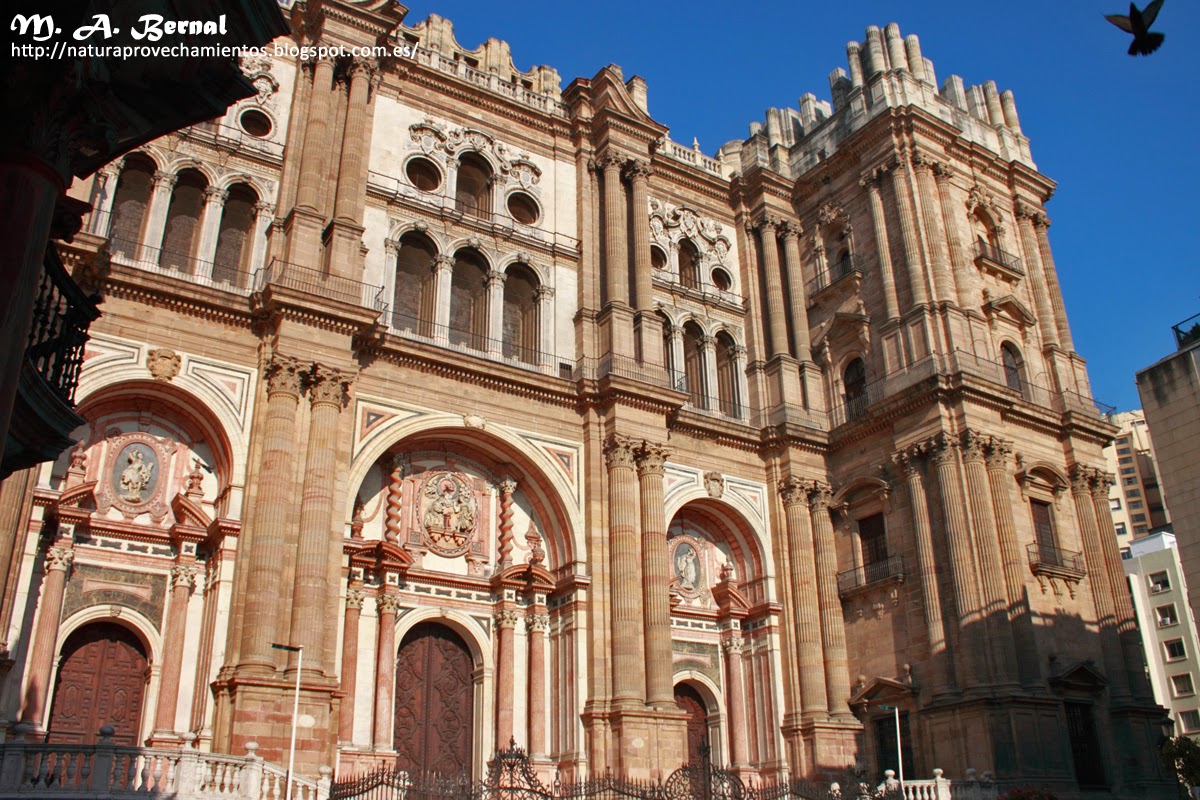 Catedral Málaga