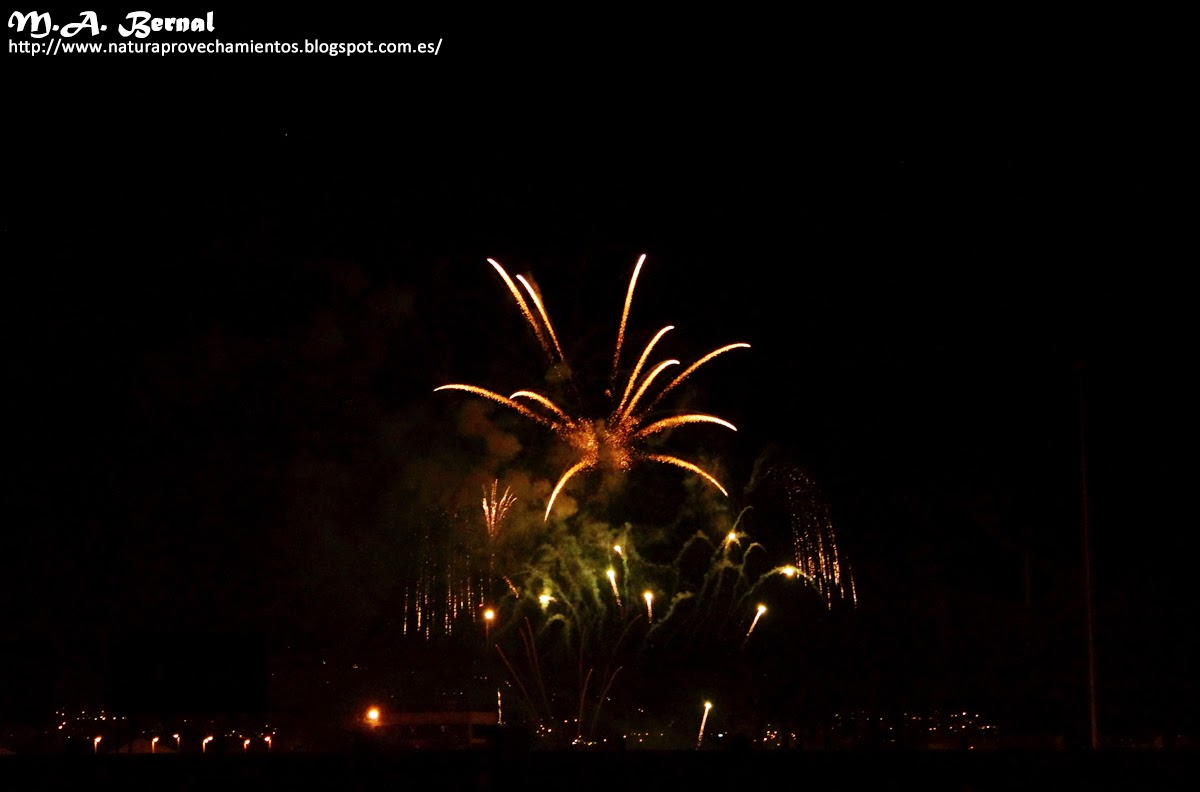 Fuegos artificiales