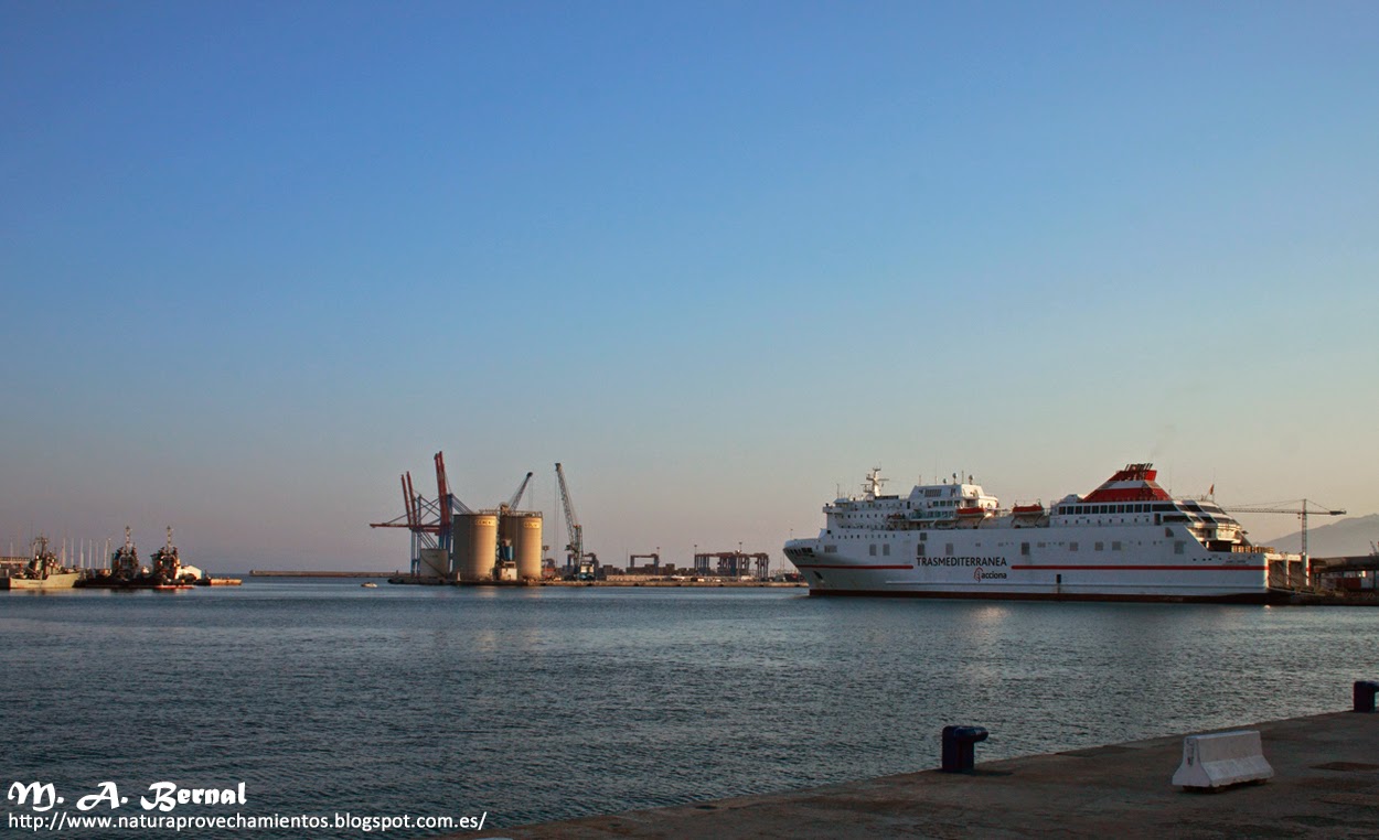 Puerto de Málaga