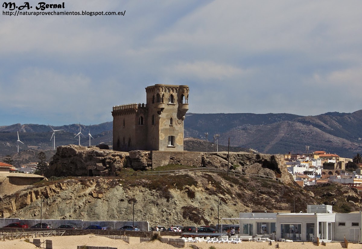 Castillo de Santa Catalina en Tarifa
