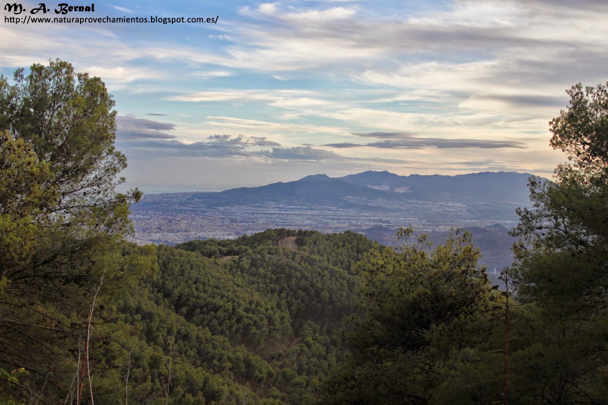 Montes de Málaga