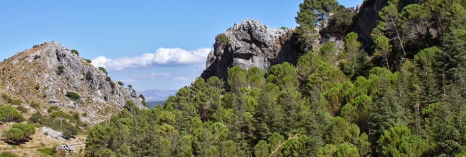 Sierra de Grazalema