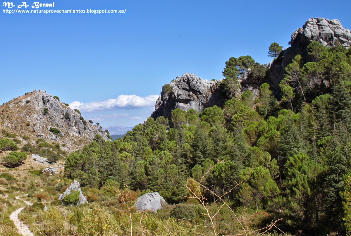 Sierra de Grazalema