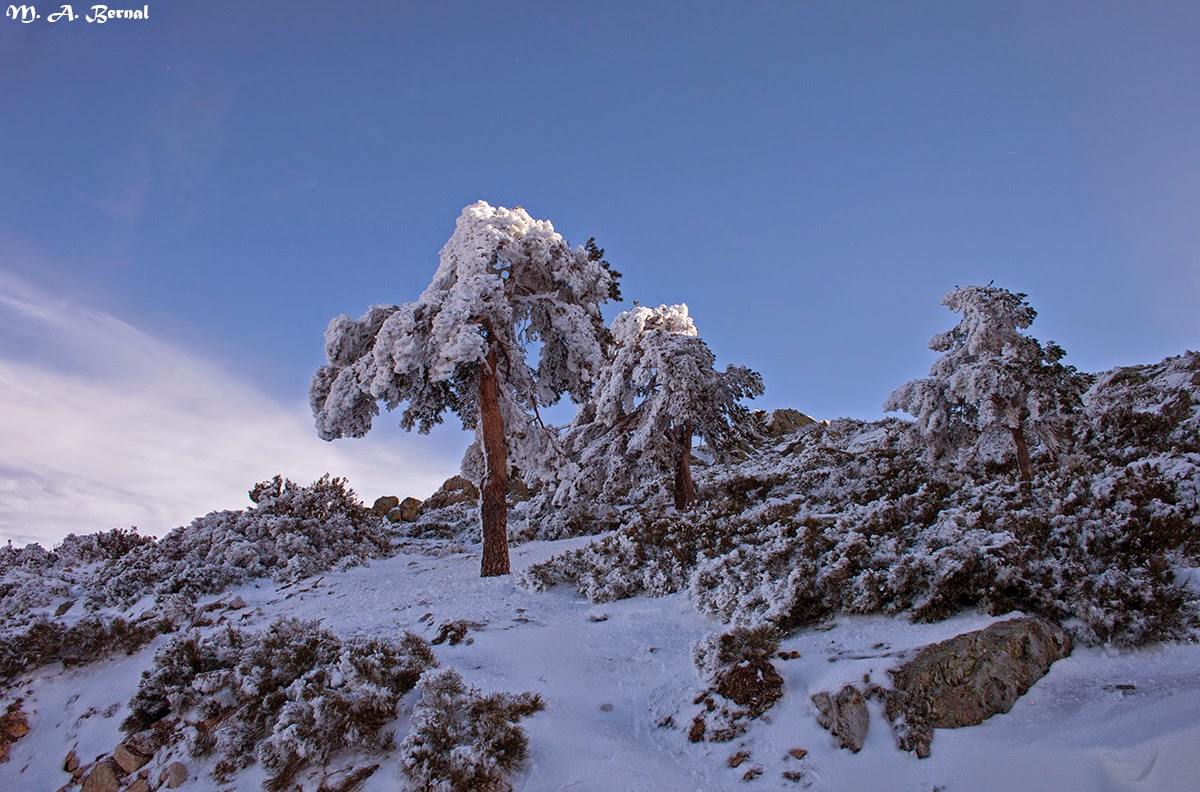Nevada Sierra de Francia