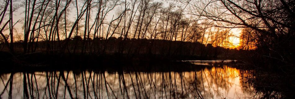 Atardecer y reflejos