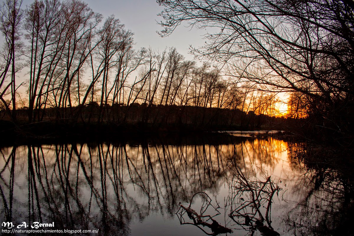 Atardecer y reflejos