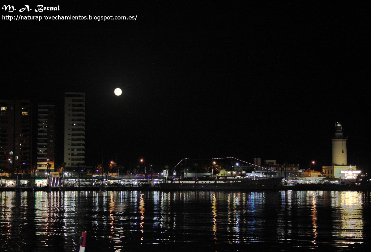 Puerto de Málaga