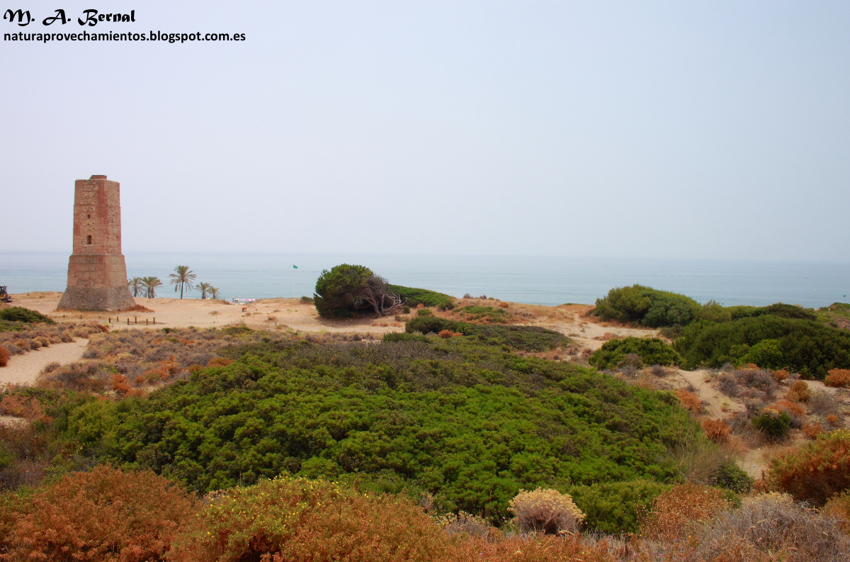 Cala Cabopino Marbella