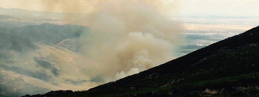 Incendio Forestal de Acebo