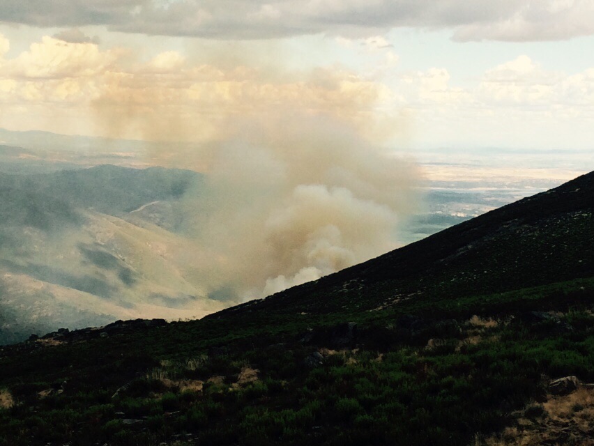 Incendio Forestal de Acebo