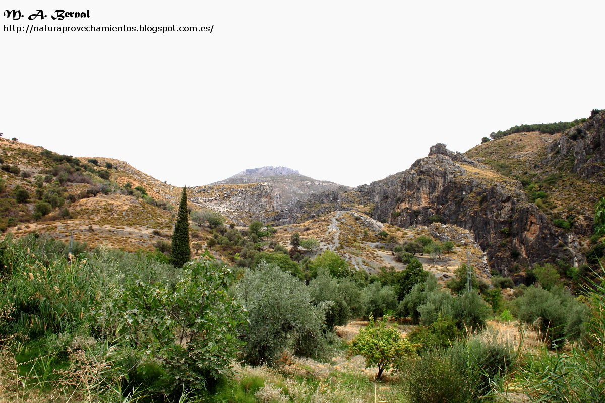 Los Cahorros Altos y Bajos