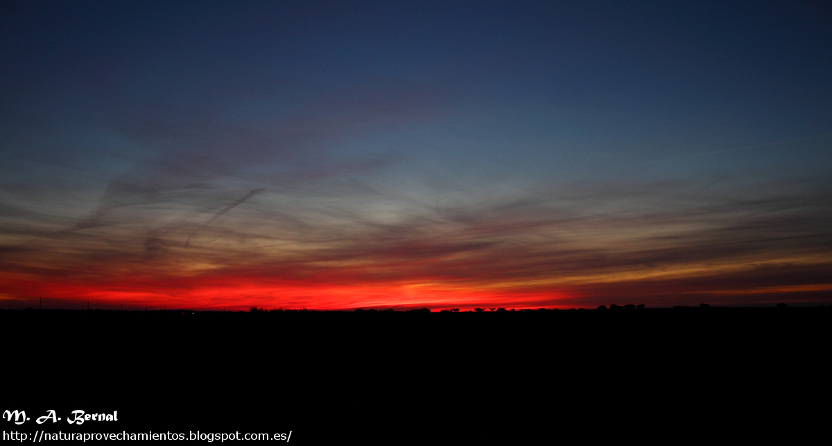 Atardecer dehesa boada Salamanca