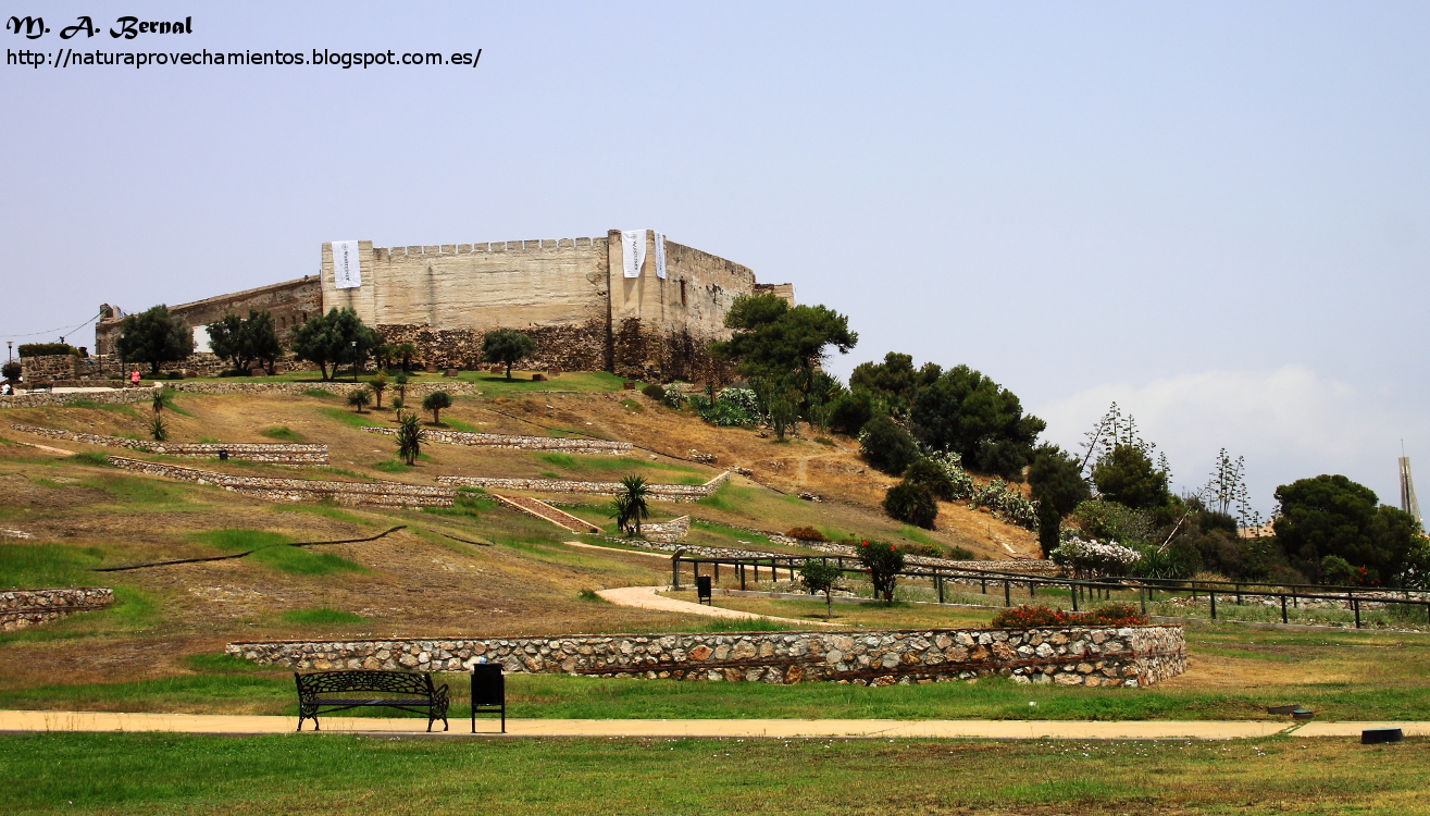 Castillo de Sohail