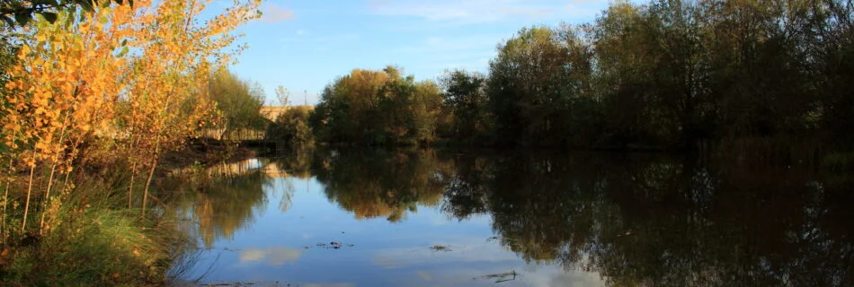 Río Águeda
