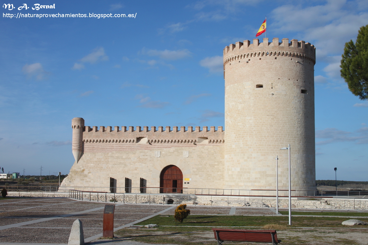 Castillo Arévalo