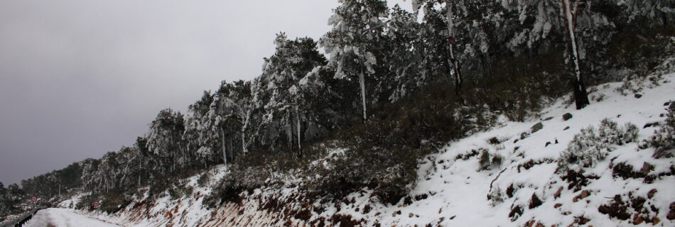 Nevada Sierra de Francia
