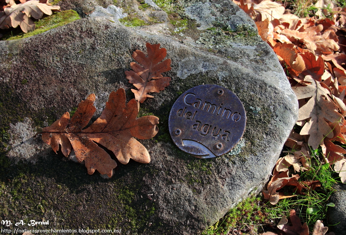 Camino del Agua