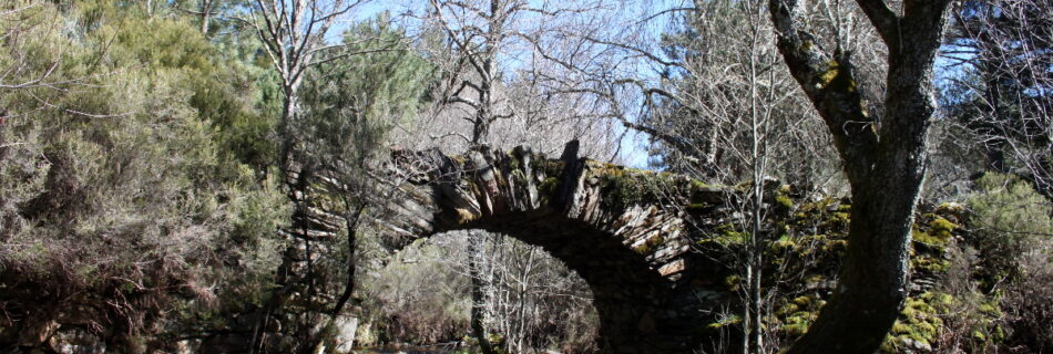 Puente Yunta Rio Agadon Monsagro