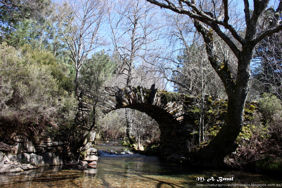 Puente Yunta Rio Agadon Monsagro