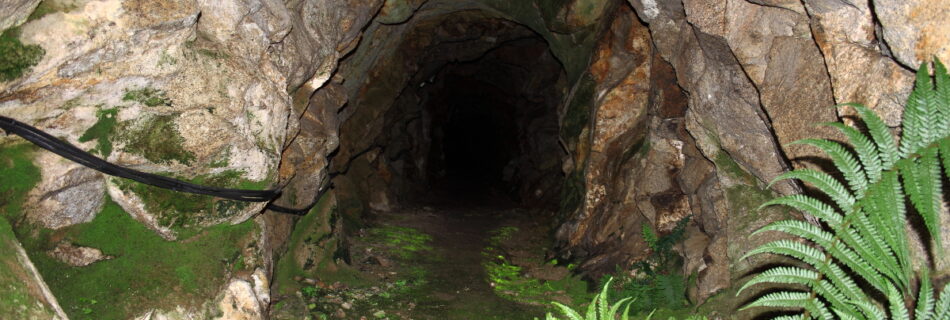 Mina estaño wolframio Navasfrías Salamanca