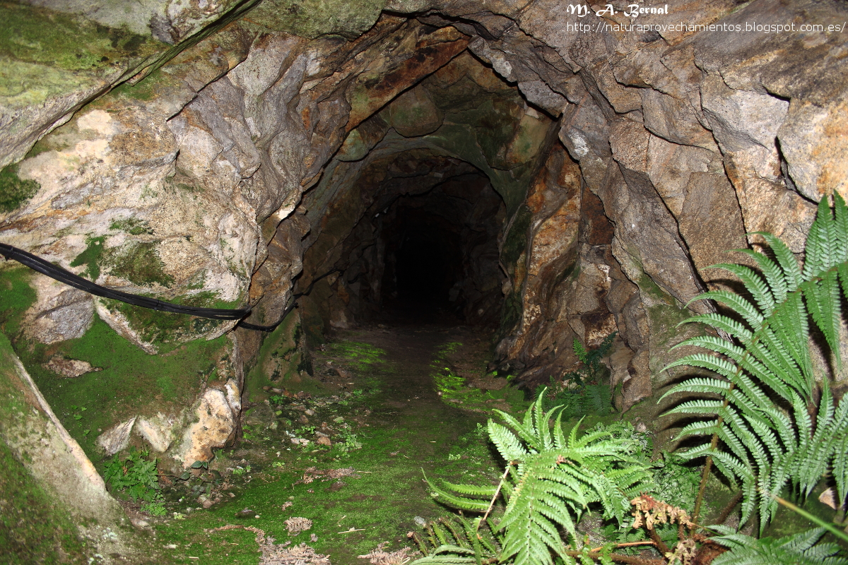 Mina estaño wolframio Navasfrías Salamanca