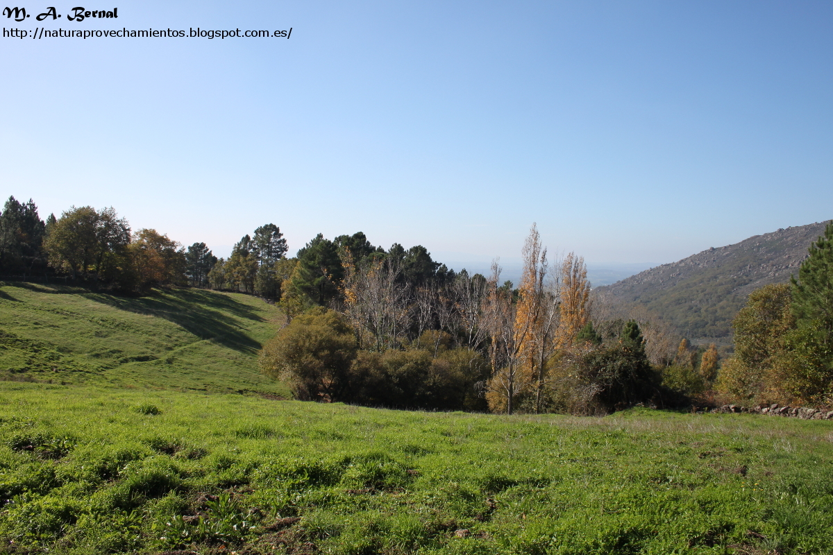 Trevejo Sierra de Gata