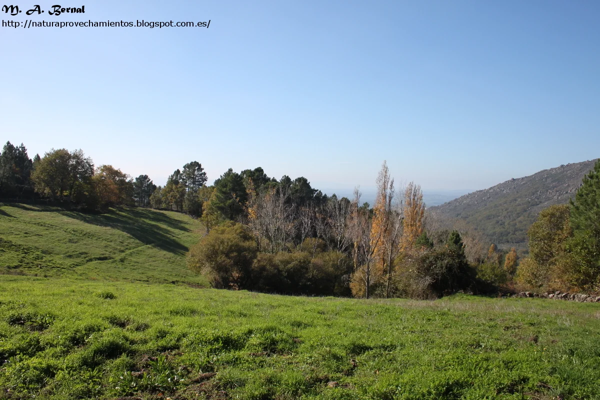 Trevejo Sierra de Gata