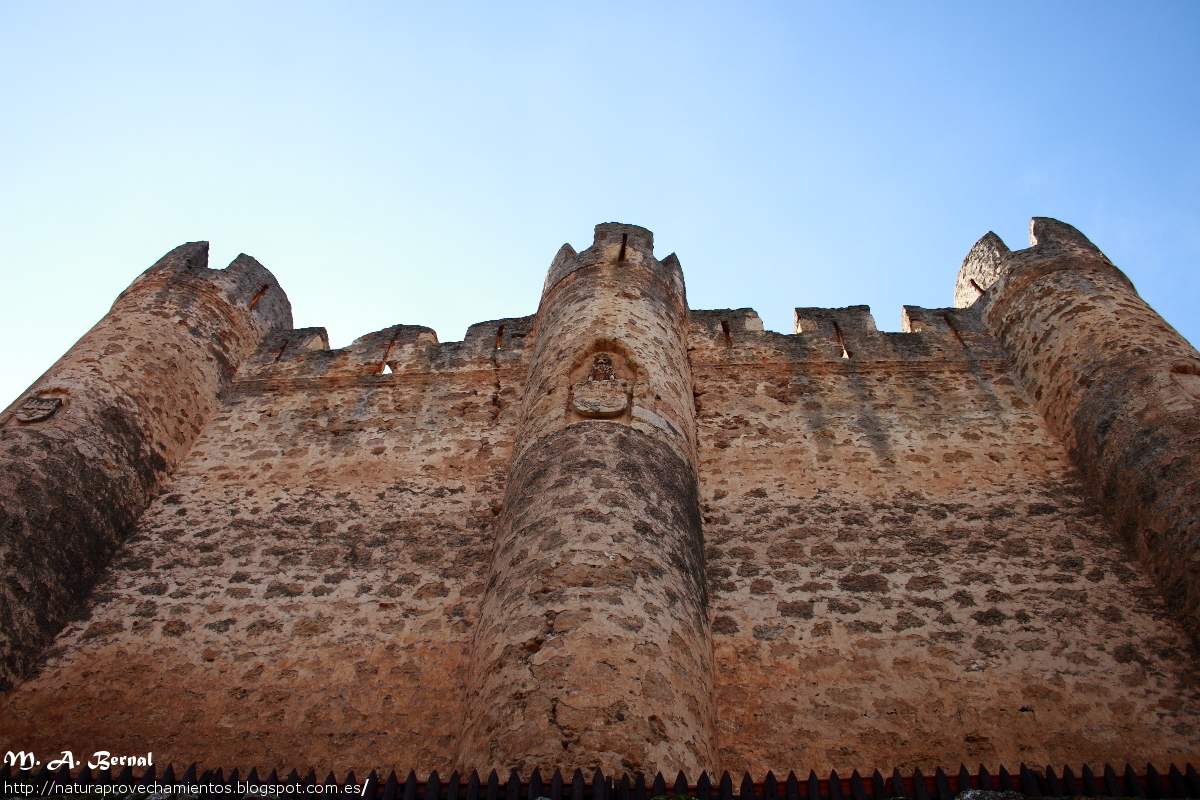 Castillo Valencia de Don Juan