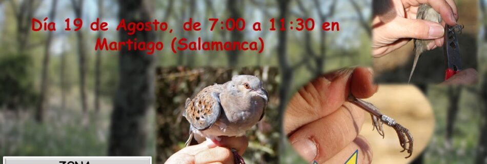 Jornada de Anillamiento Científico de Aves en Martiago