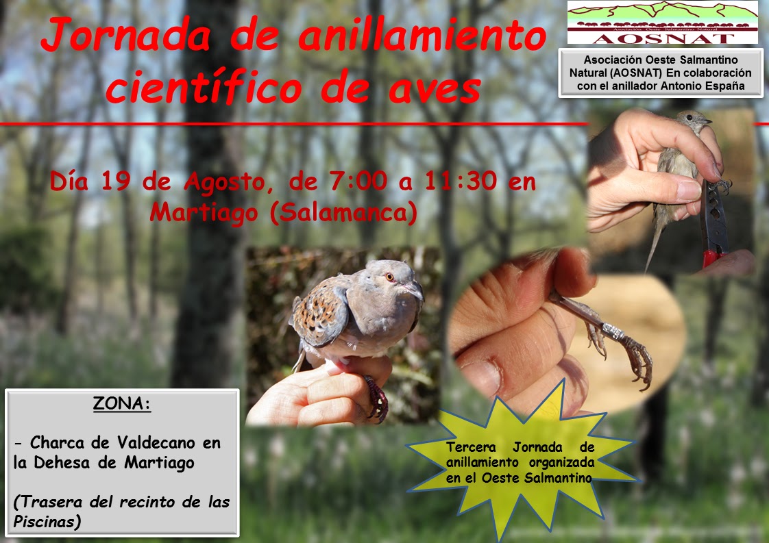 Jornada de Anillamiento Científico de Aves en Martiago