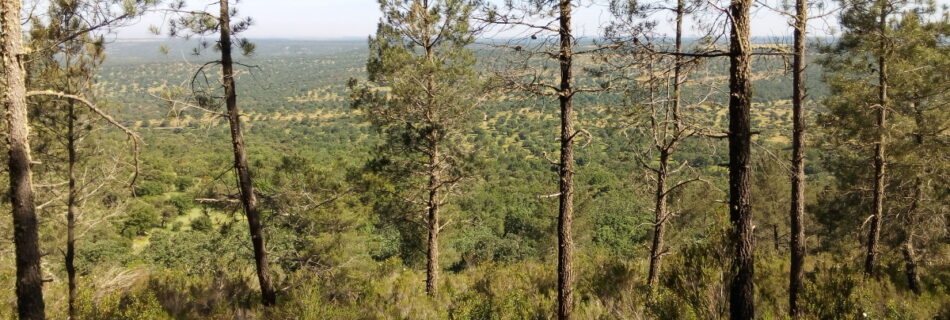 Sierra de la Gloria Salamanca