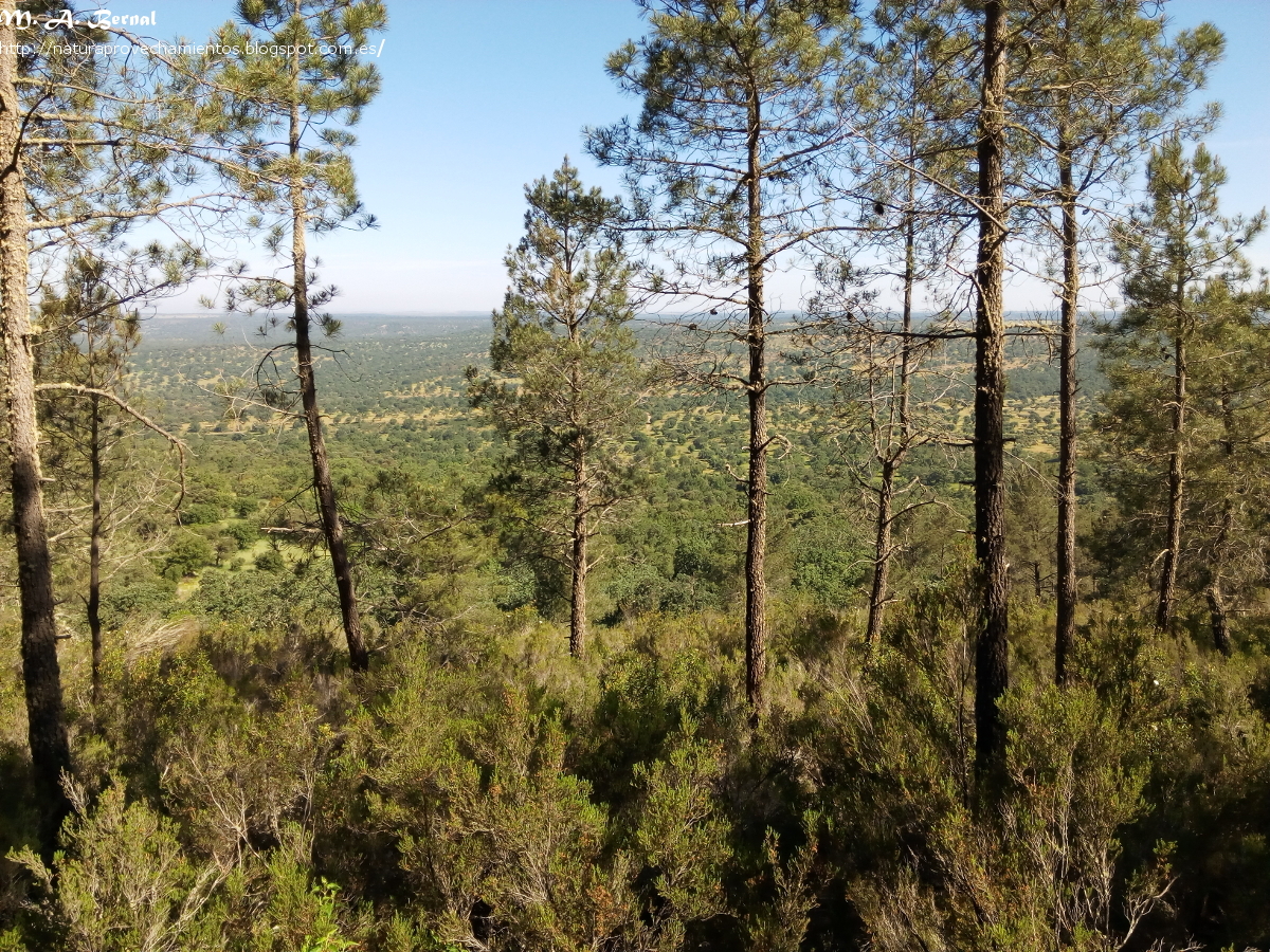 Sierra de la Gloria Salamanca