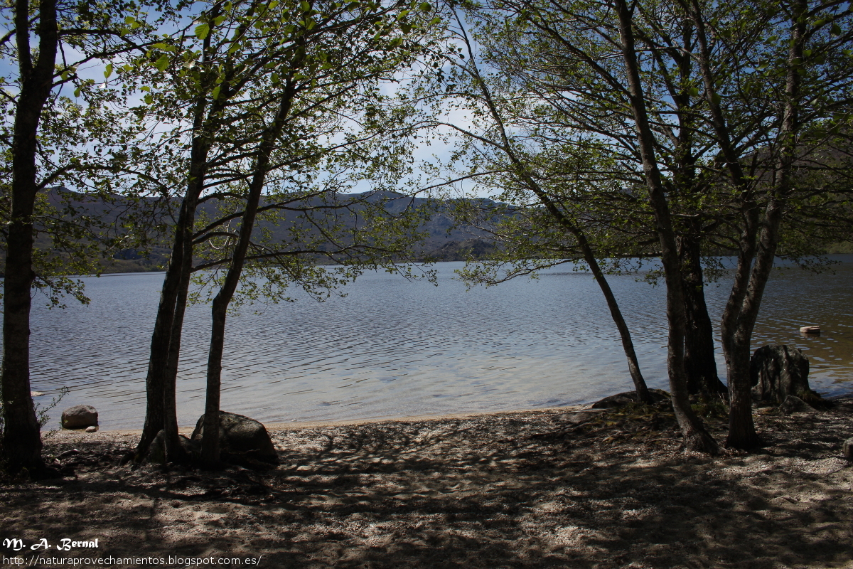 Lago de Sanabria Zamora