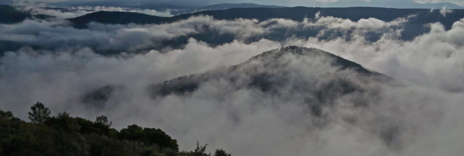 Arca buitrera Sotoserrano