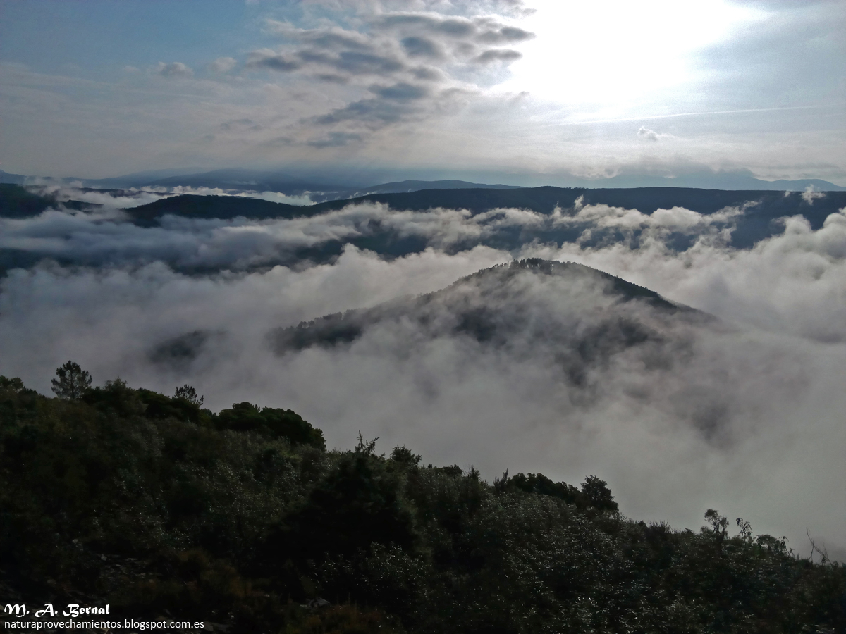 Arca buitrera Sotoserrano