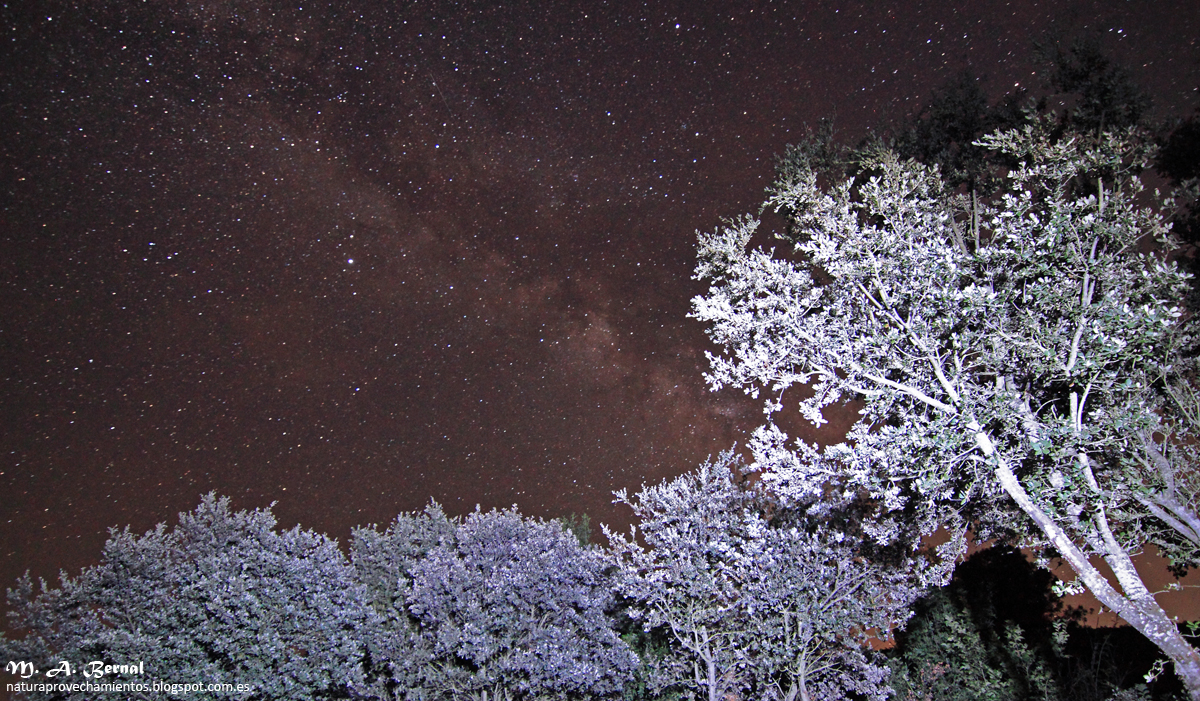 Vía láctea encinas