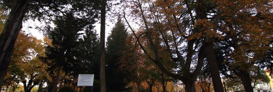 Parque La Florida Ciudad Rodrigo