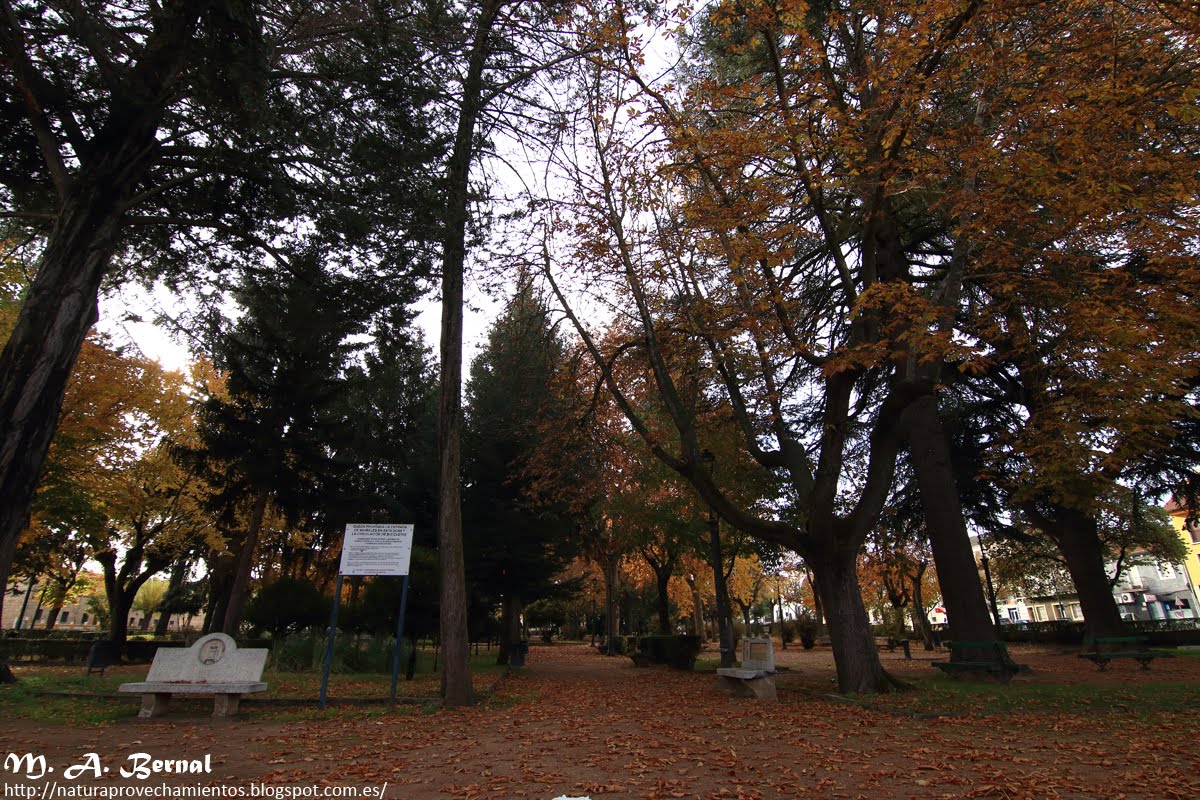Parque La Florida Ciudad Rodrigo