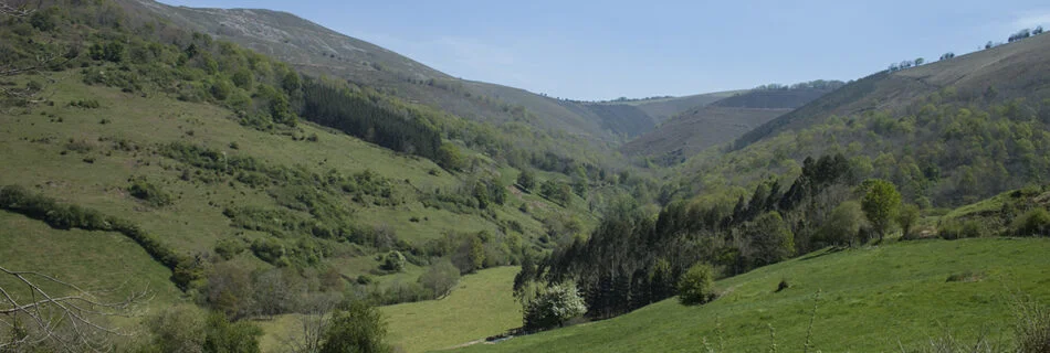Cascadas de Lamiña Salamanca