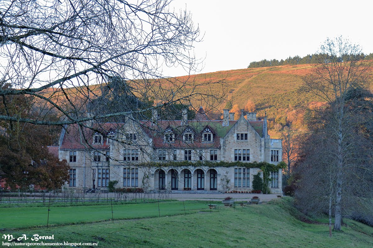 Palacio de los Hornillos Los Otros