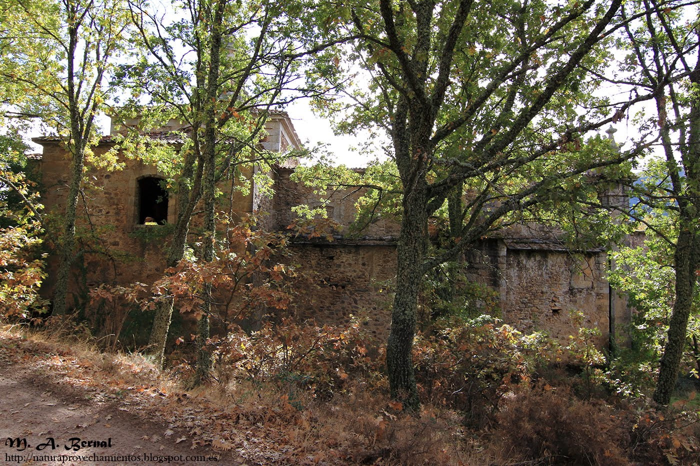 Convento de la Casa Baja en El Maíllo