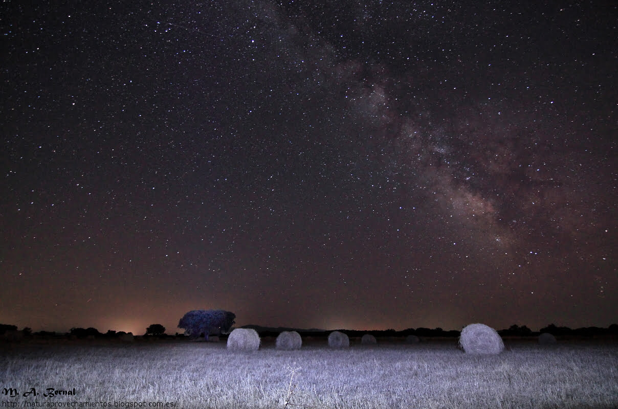 Nocturna de vía láctea en dehesa
