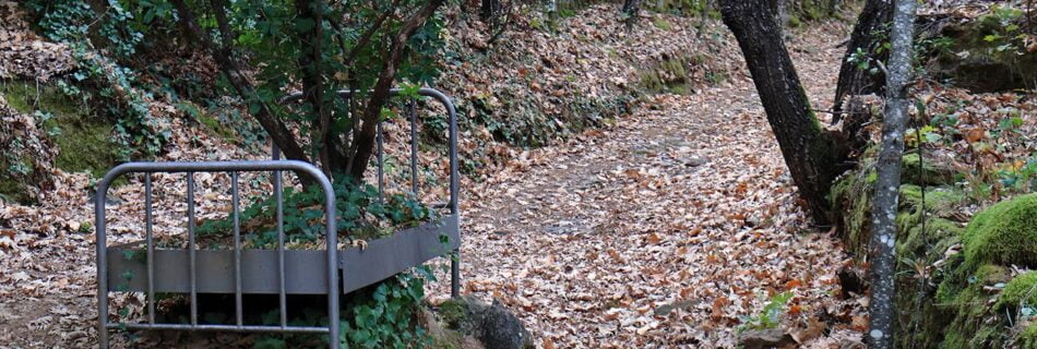 Camino de los Prodigios Salamanca