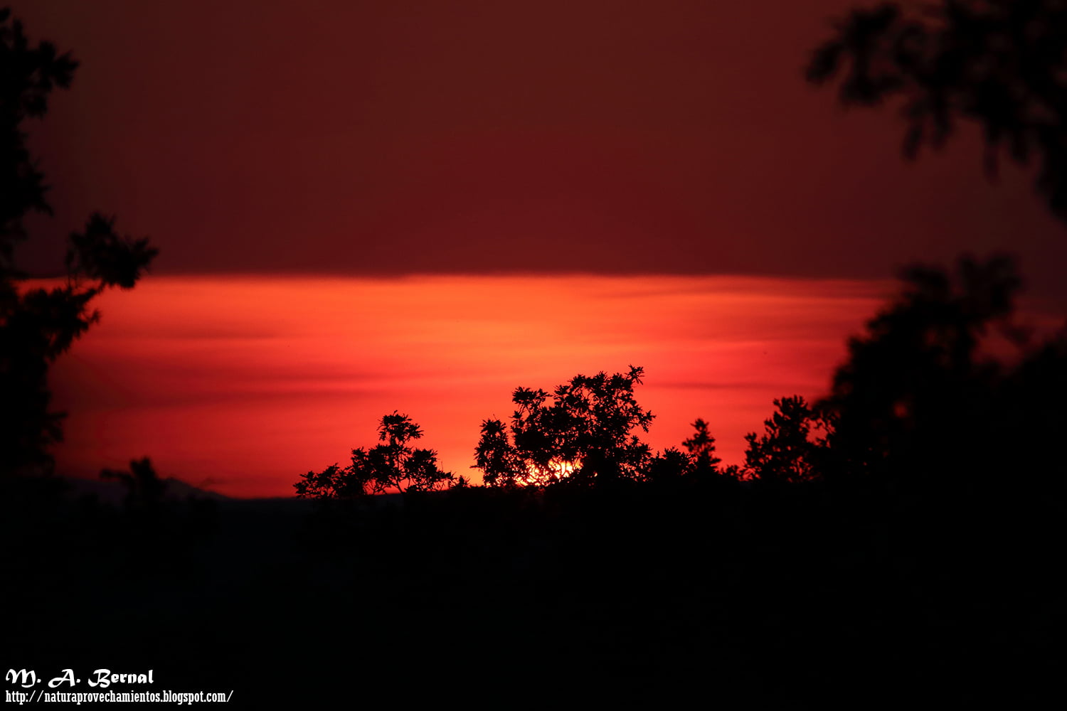 Atardecer Sierra de Gata
