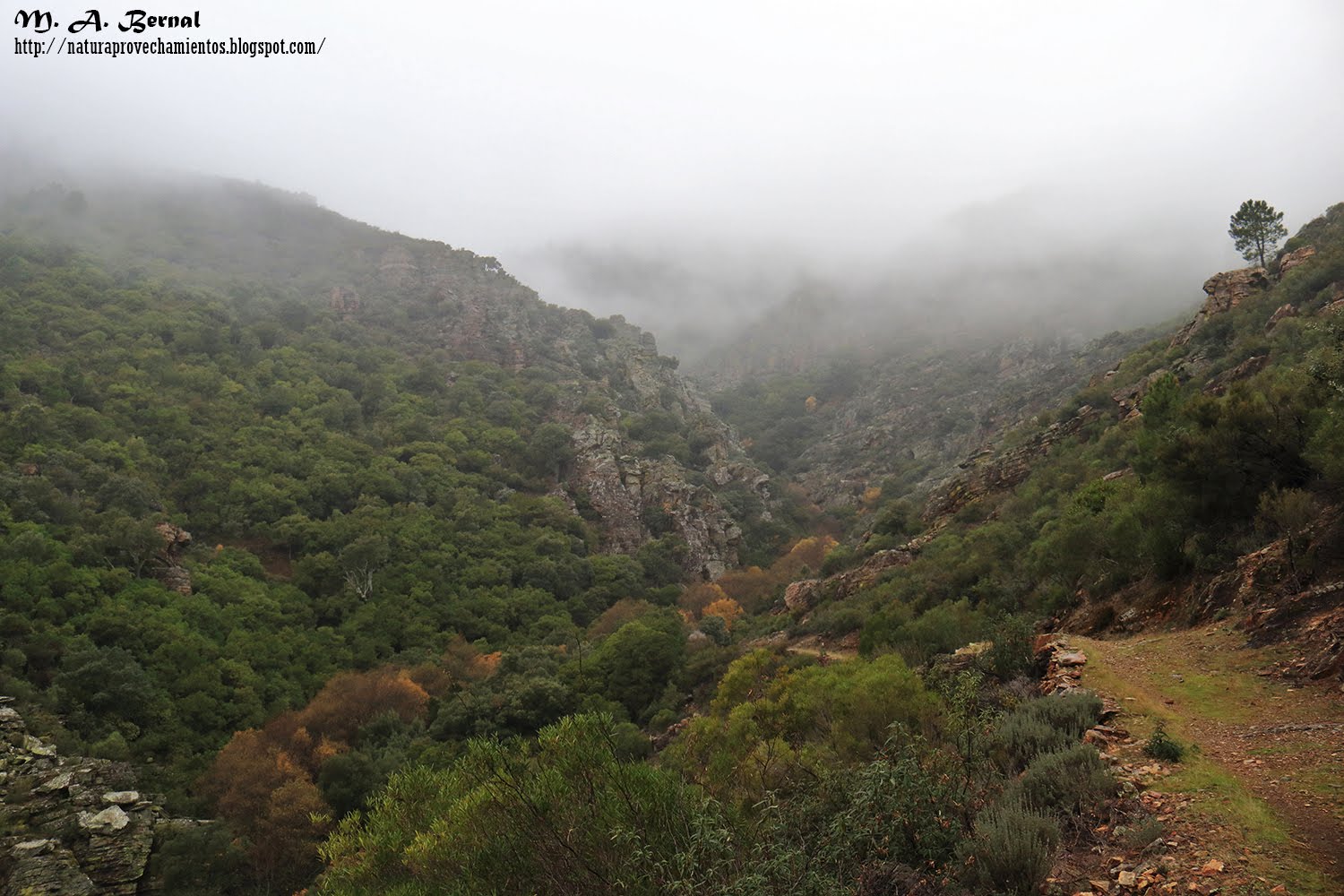 Valle de Belén Herguijuela de la Sierra