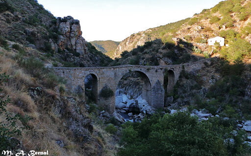 Puente de los Franceses