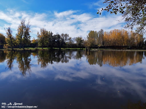 Ciudad Rodrigo otoño