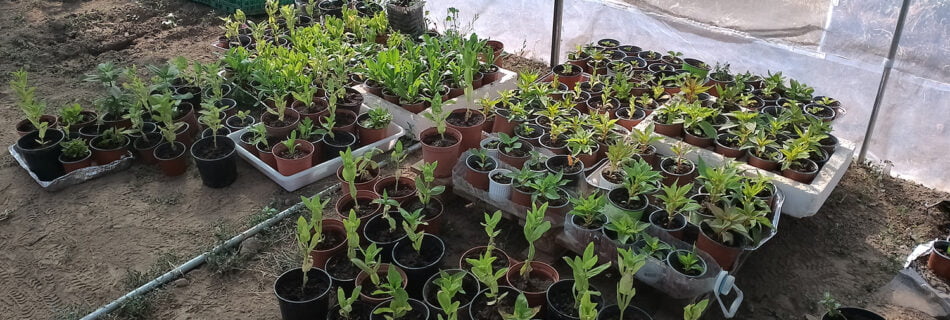 formación jardinería