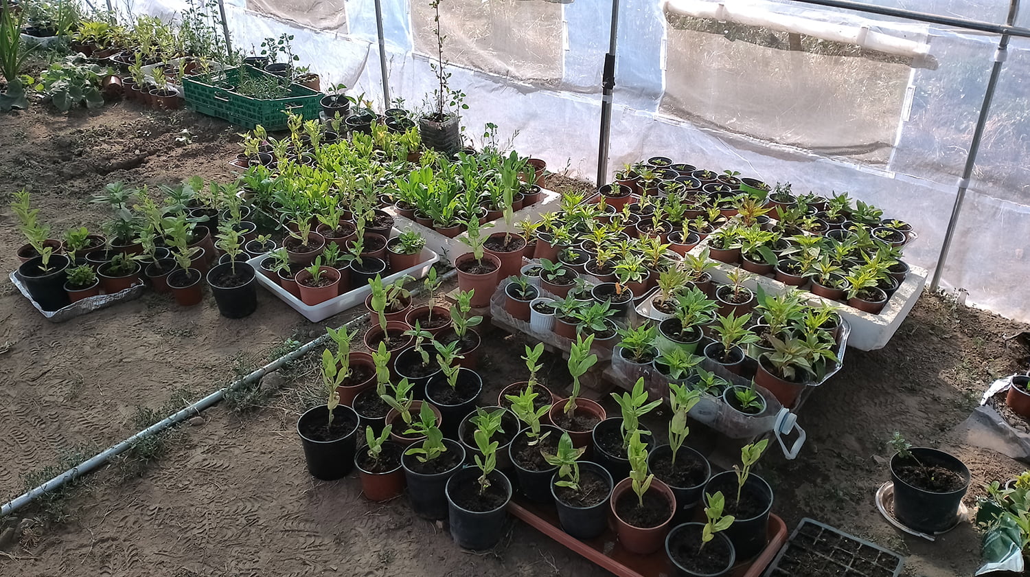 formación jardinería